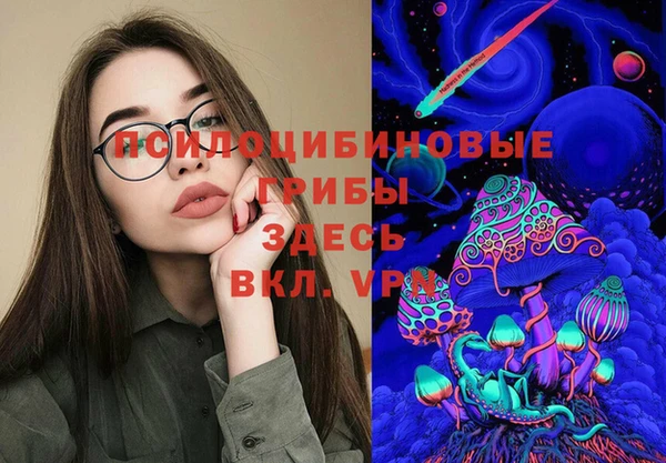 эйфоретик Алзамай