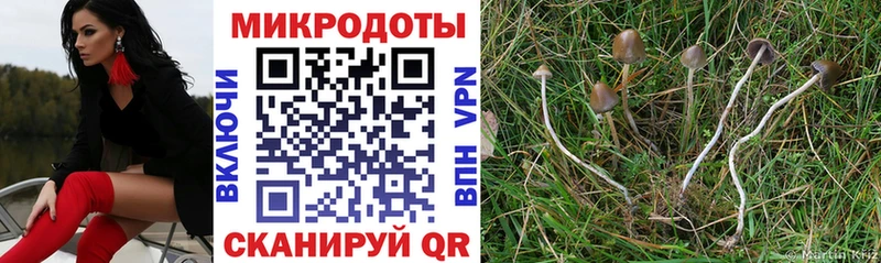 хочу наркоту  Сосновка  Галлюциногенные грибы MAGIC MUSHROOMS 